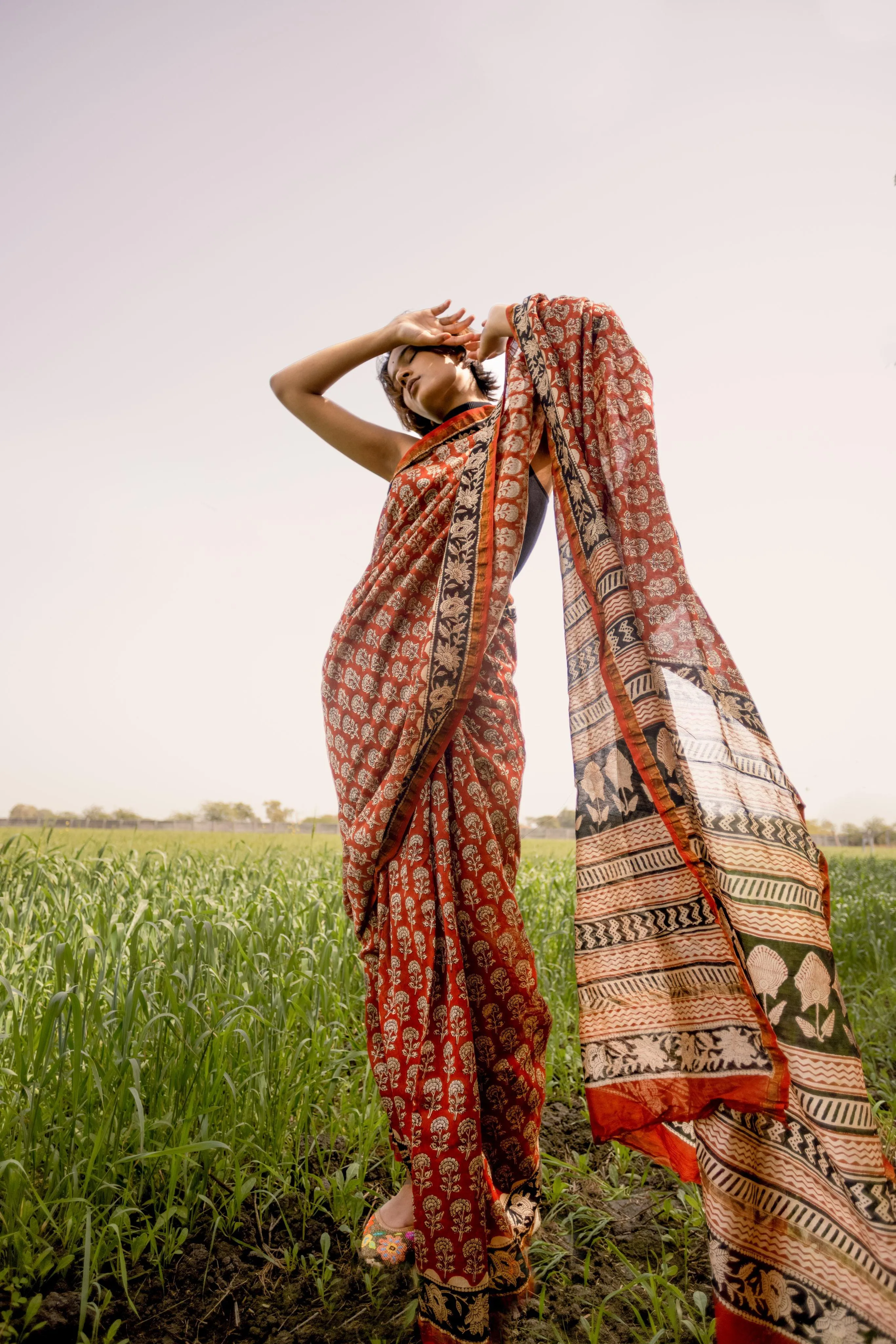 Roheda Gulab Syahi Begar Chanderi Saree